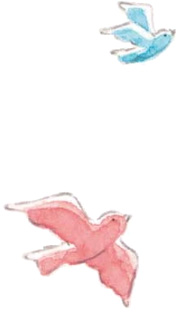 Illustrazione con uccelli