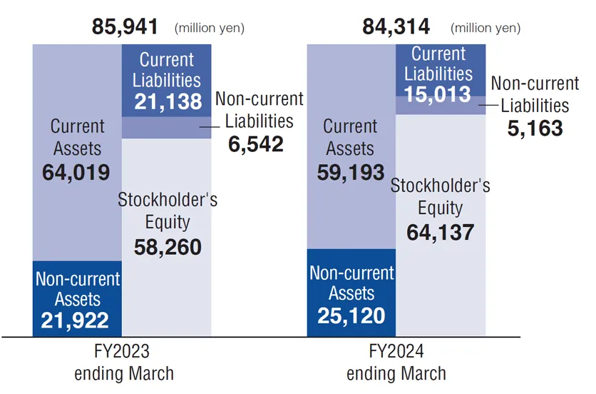 Consolidated Balance Sheet Overview