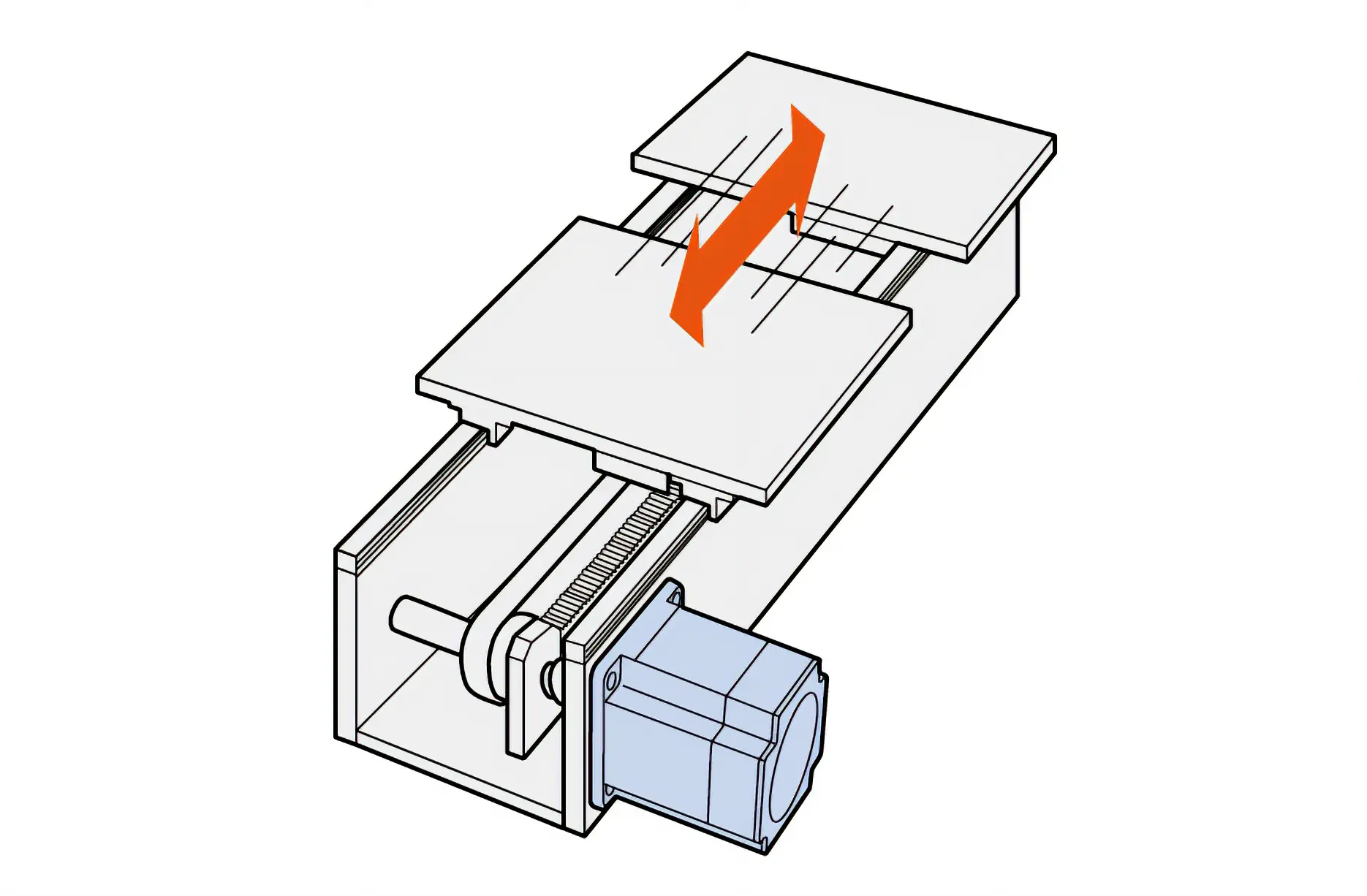 PKP + Belt