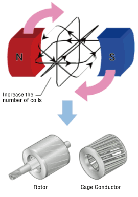 Cage Rotor