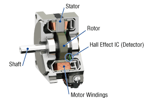 Structure of Brushless Motor