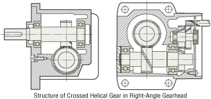 Structure of Crossed Helical Gear in Right-Angle Gearhead