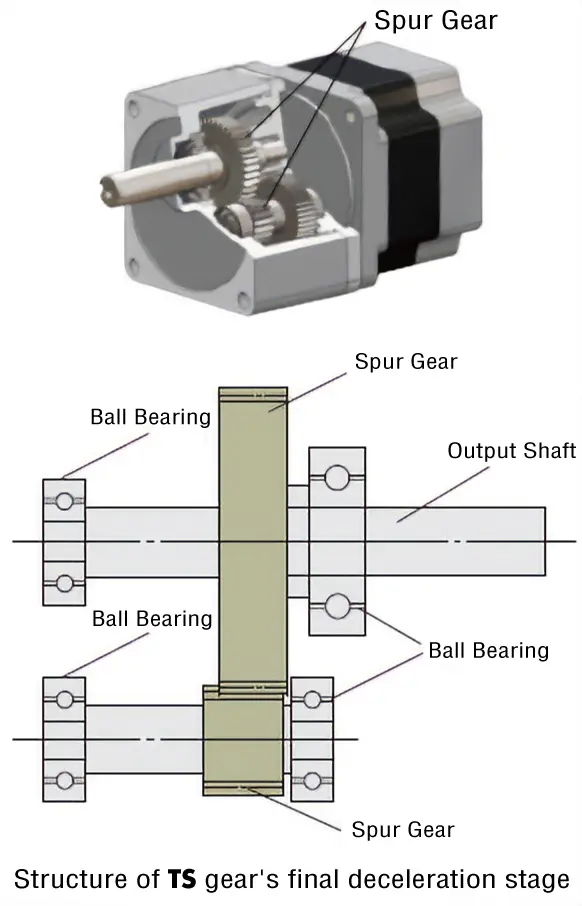 Structure of TS Gearhead's Final Stage