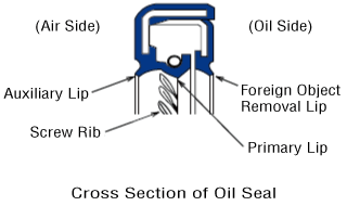 Gearhead Structure