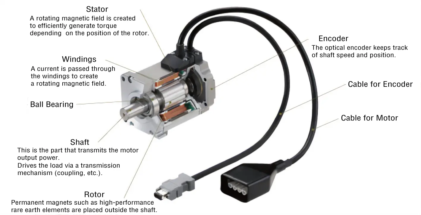 Servo Motor Structure