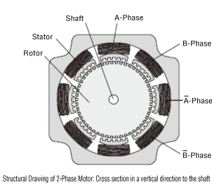 Structural Drawing of 2-Phase Motor: Cross sectional in a vertical direction to the shaft