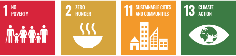 Figure 1. SDG icons: Goals 1, 2, 11, and 13